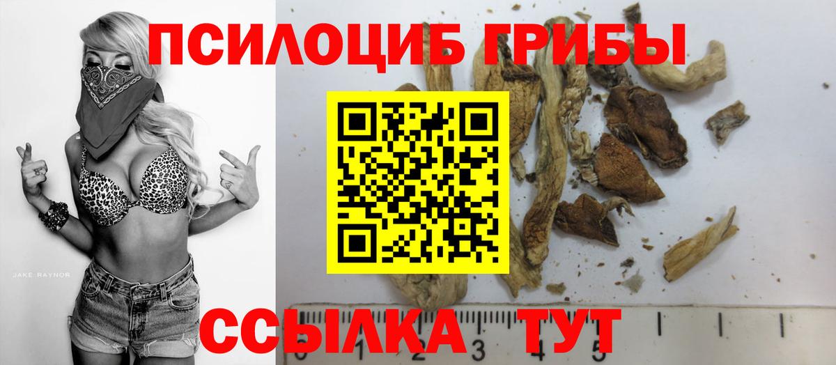 что такое наркотик  Псилоцибиновые грибы Cubensis  Гусь-Хрустальный  Вход с VPN  Галлюциногенные грибы GOLDEN TEACHER 
