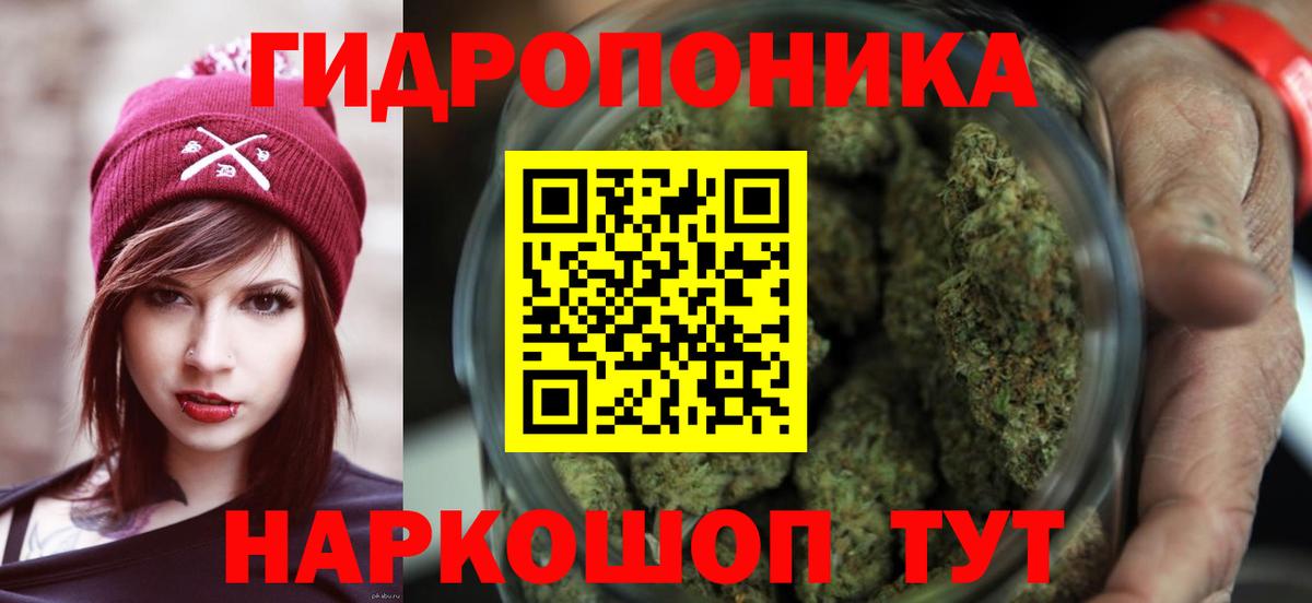 Бошки марихуана ГИДРОПОН  Шишки марихуана OG Kush  Вход с VPN  Гусь-Хрустальный 